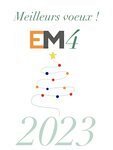 EM4 - Le travail temporaire au service de l'insertion : Bonnes fêtes de fin d'année !